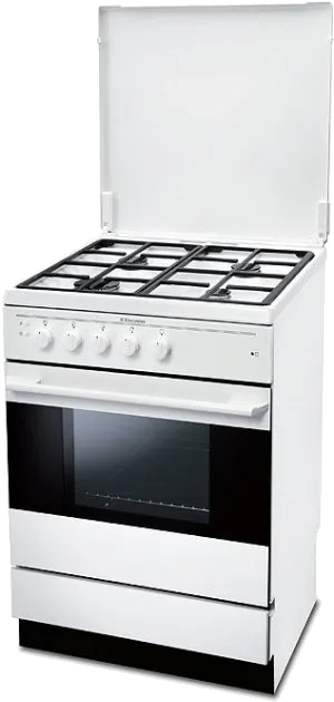 Ремонт EKG 600102 W в сервисном центре servicecenter-electrolux